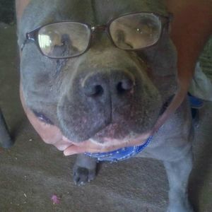 Meet your Posher, Jesus a